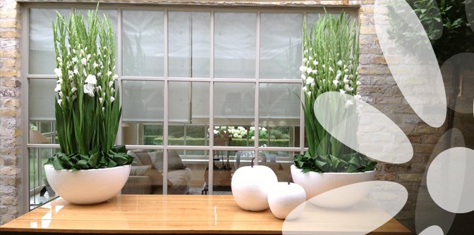 bloemenexport-nederland-belgie